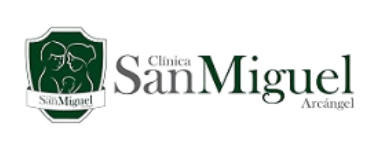 Marketing IA, SEO y Neuromarketing en Perú images (2)